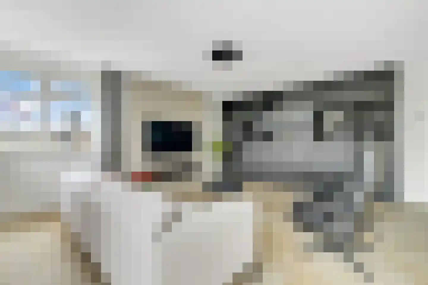 Grotestraat 178 h Nijverdal thumbnail 10