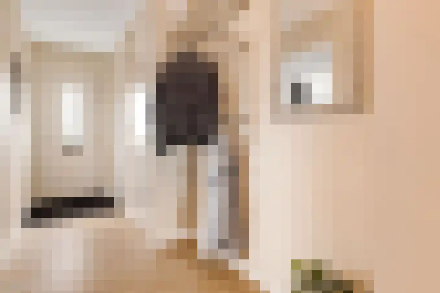 Grotestraat 178 h Nijverdal thumbnail 16