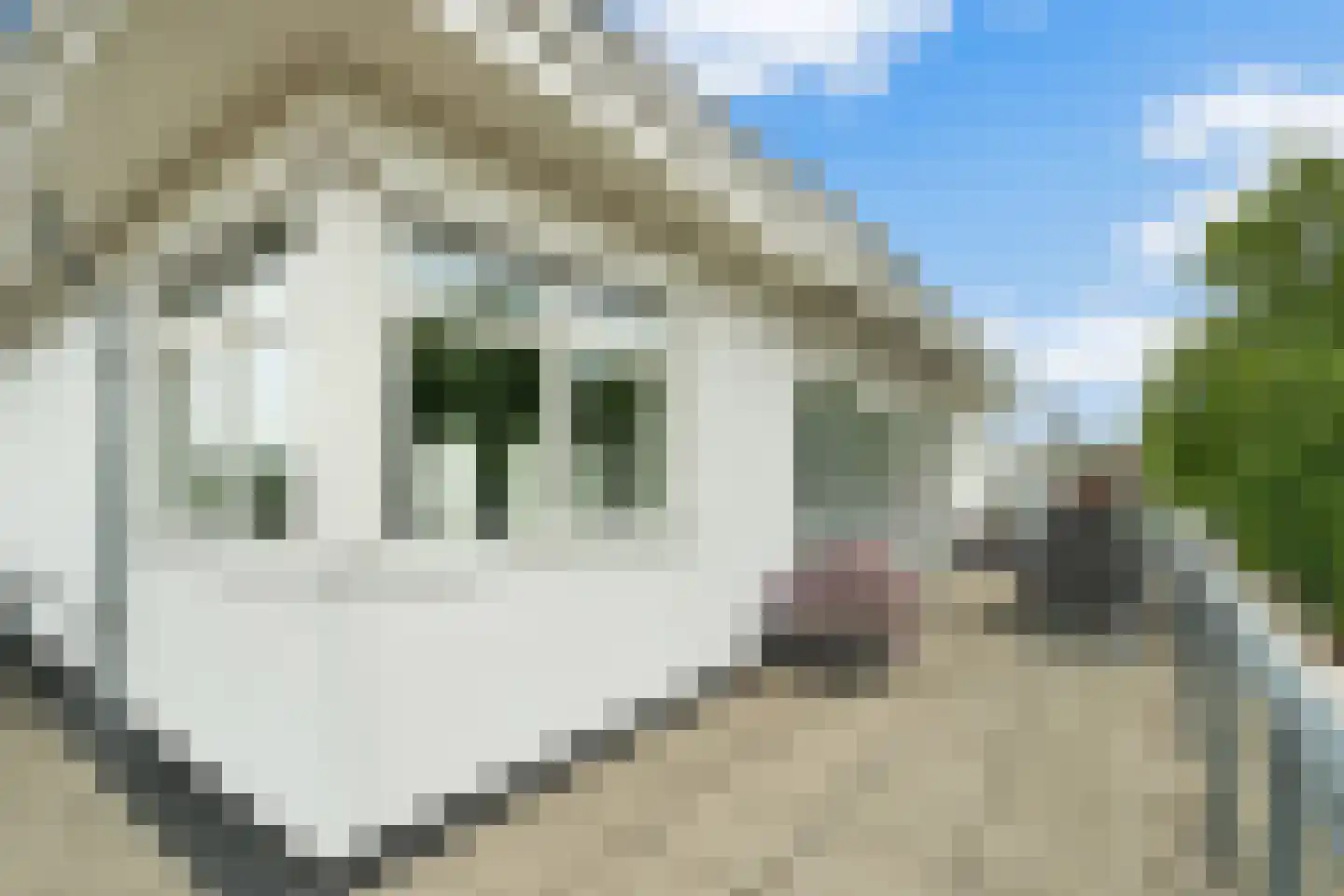 Grotestraat 178 h Nijverdal thumbnail 34