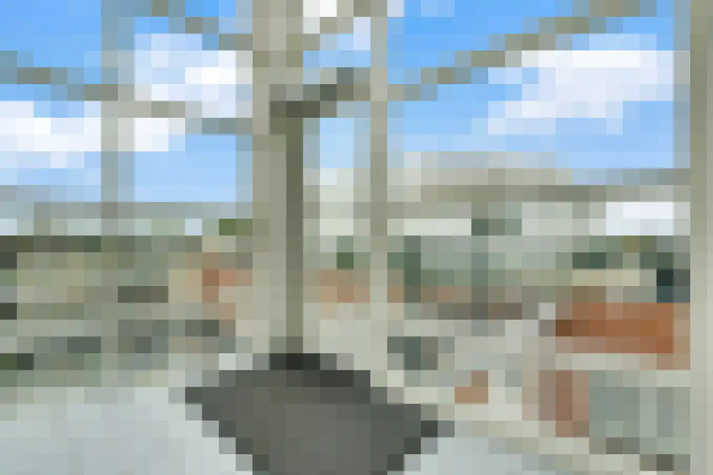 Grotestraat 178 h Nijverdal thumbnail 39