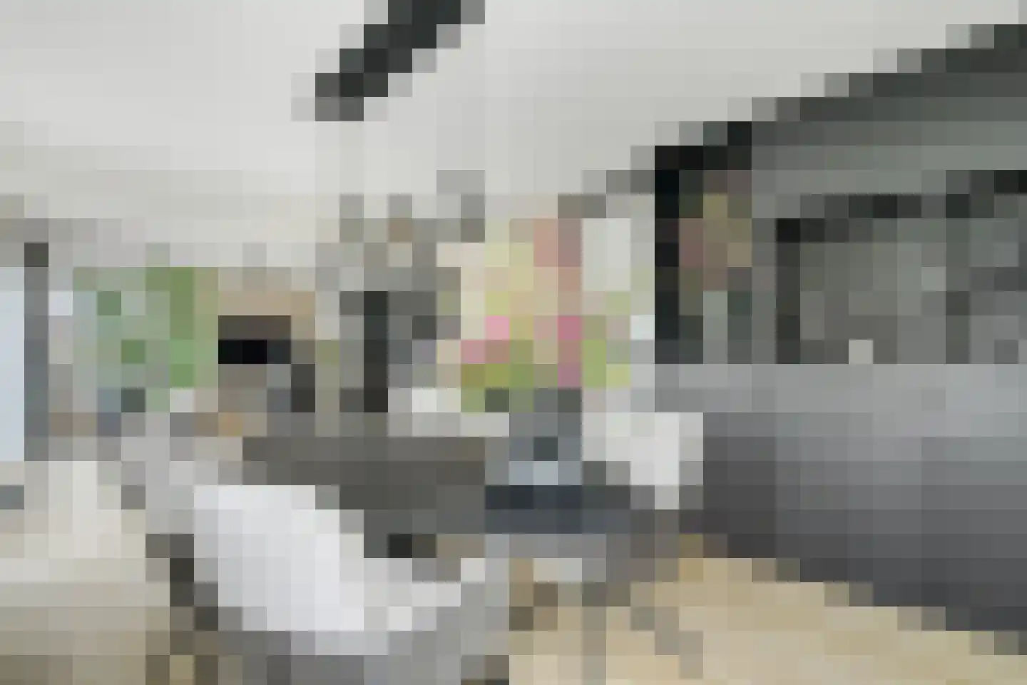 Grotestraat 178 h Nijverdal thumbnail 5
