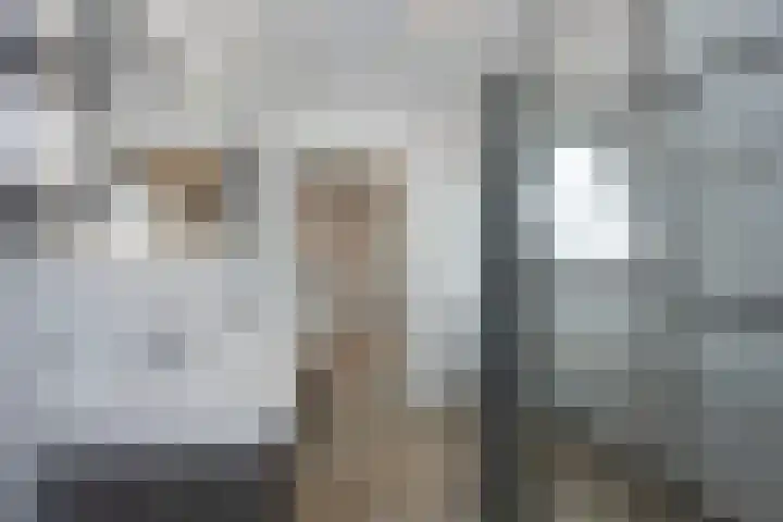 Grotestraat 179 d Borne thumbnail 17