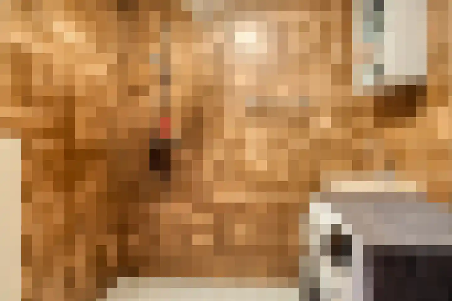 Grotestraat 19 d Goor thumbnail 14