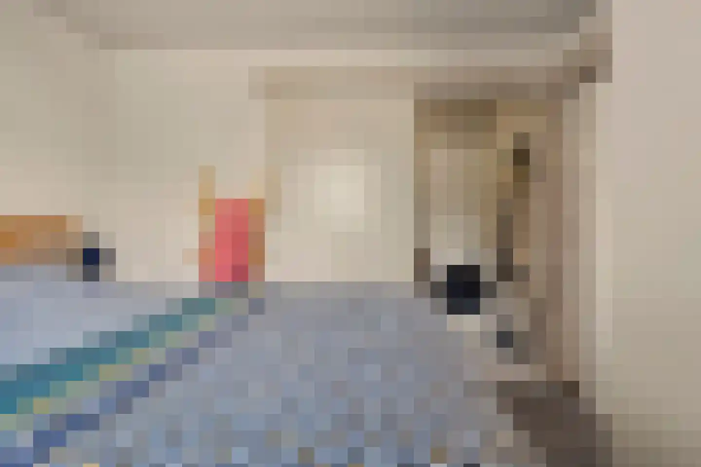 Grotestraat 192 Drunen thumbnail 12