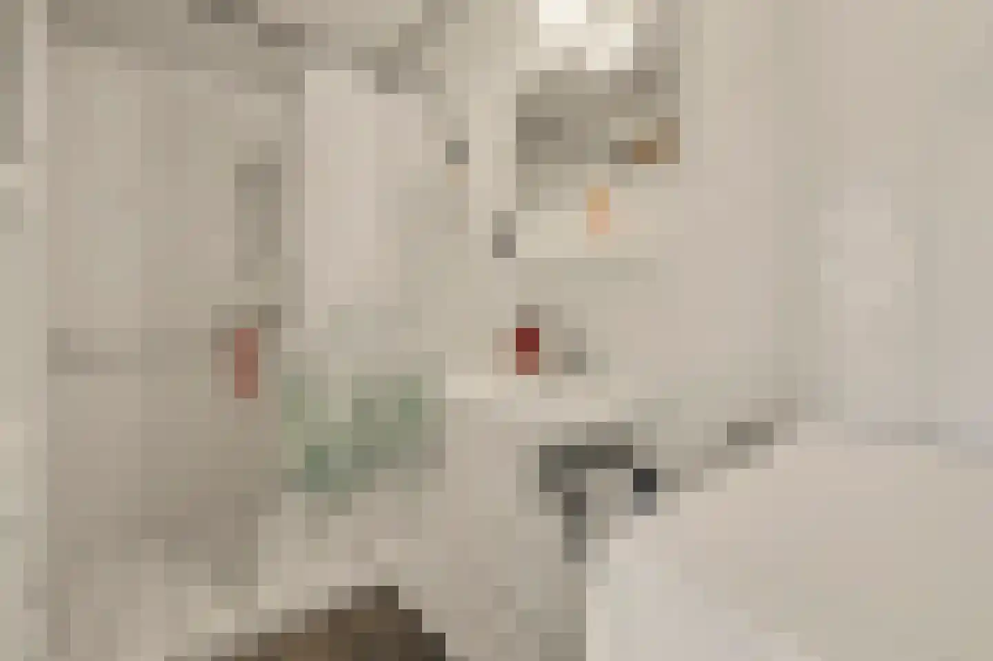 Grotestraat 192 Drunen thumbnail 13