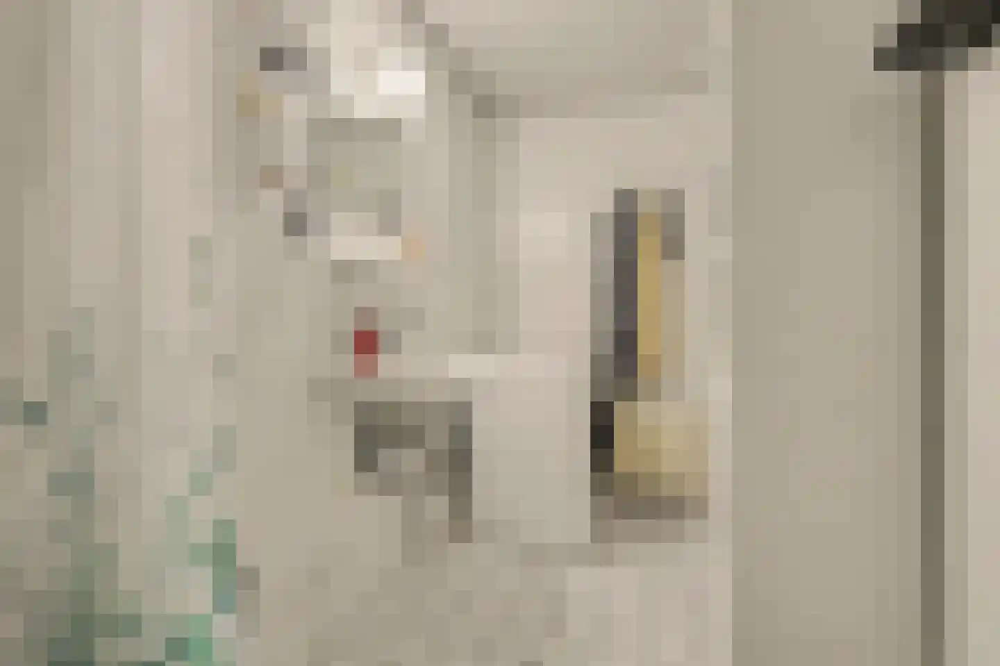 Grotestraat 192 Drunen thumbnail 14