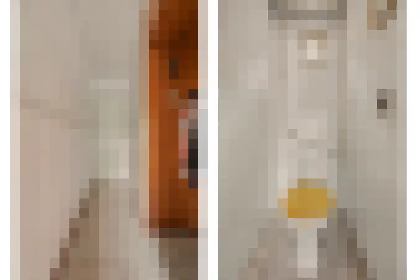 Grotestraat 192 Drunen thumbnail 15