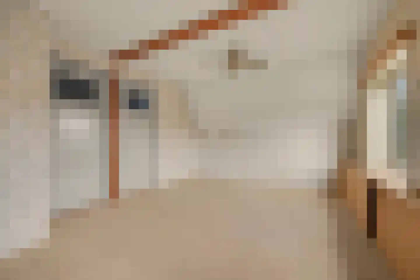 Grotestraat 192 Drunen thumbnail 19