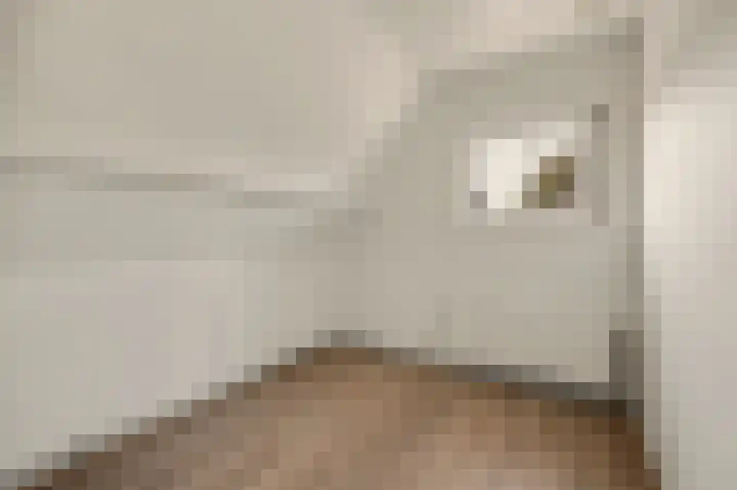 Grotestraat 192 Drunen thumbnail 31