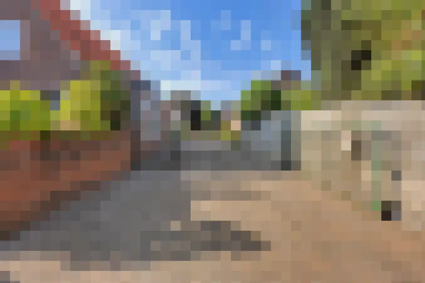 Grotestraat 192 Drunen thumbnail 44