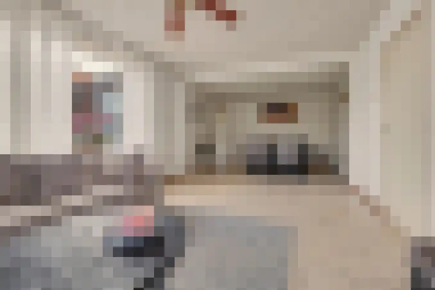 Grotestraat 192 Drunen thumbnail 7