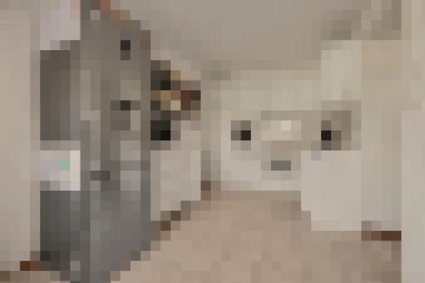 Grotestraat 192 Drunen thumbnail 8