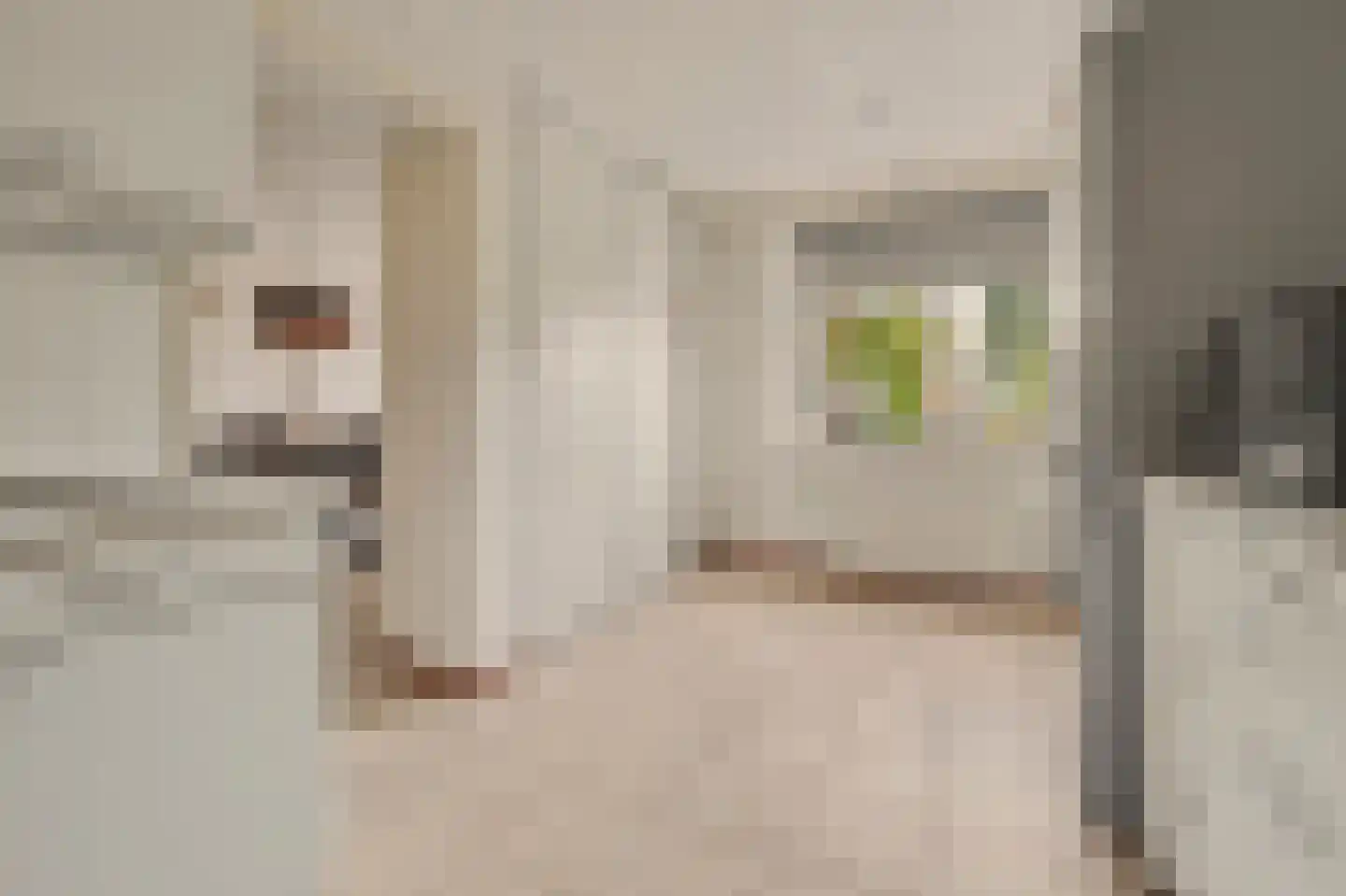 Grotestraat 192 Drunen thumbnail 9