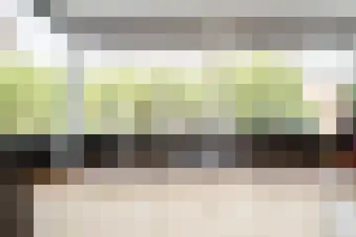 Grotestraat 193 Nijverdal thumbnail 12