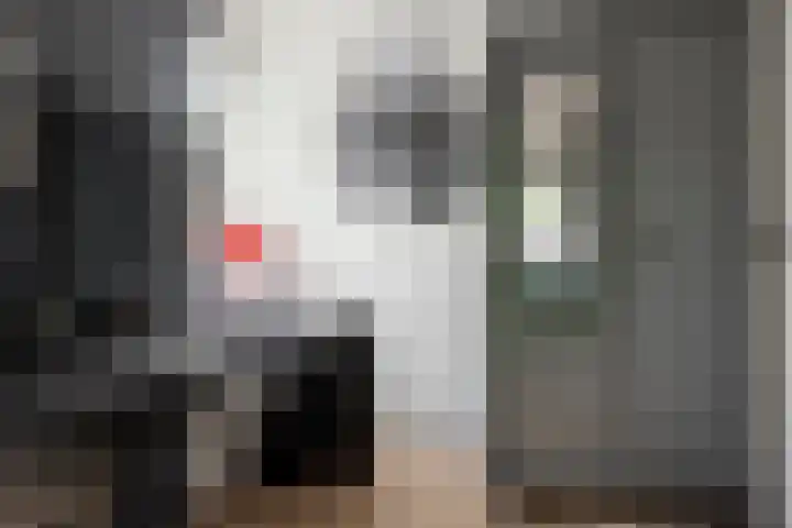 Grotestraat 193 Nijverdal thumbnail 21