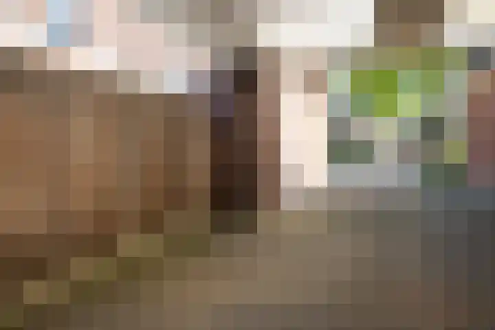 Grotestraat 193 Nijverdal thumbnail 42