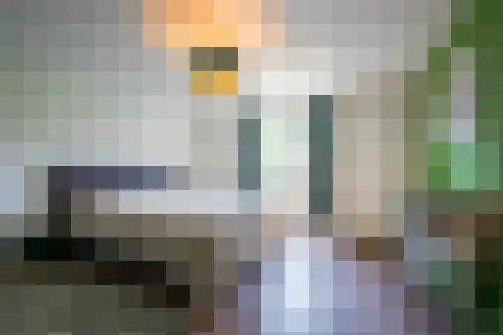 Grotestraat 20 Linne thumbnail 19