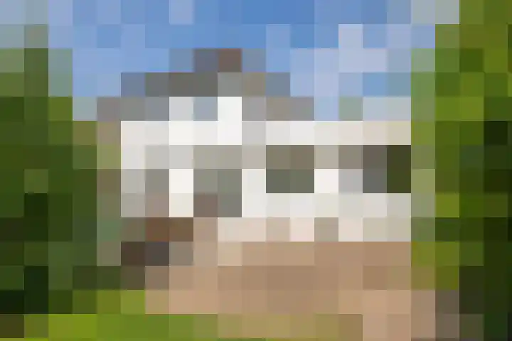 Grotestraat 20 Linne thumbnail 29