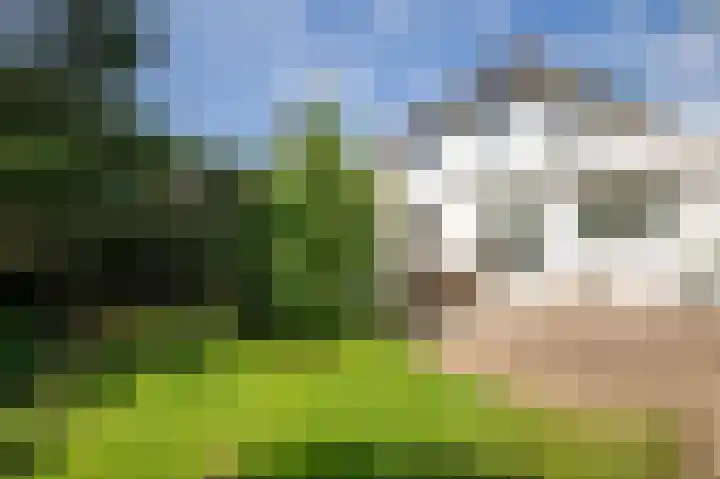 Grotestraat 20 Linne thumbnail 30