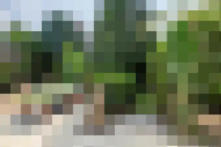 Grotestraat 20 Linne thumbnail 31