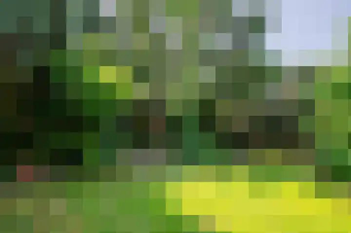 Grotestraat 20 Linne thumbnail 32