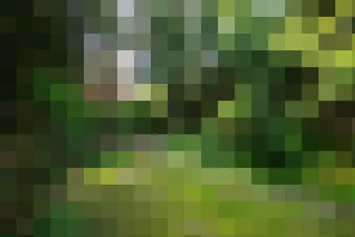 Grotestraat 20 Linne thumbnail 33