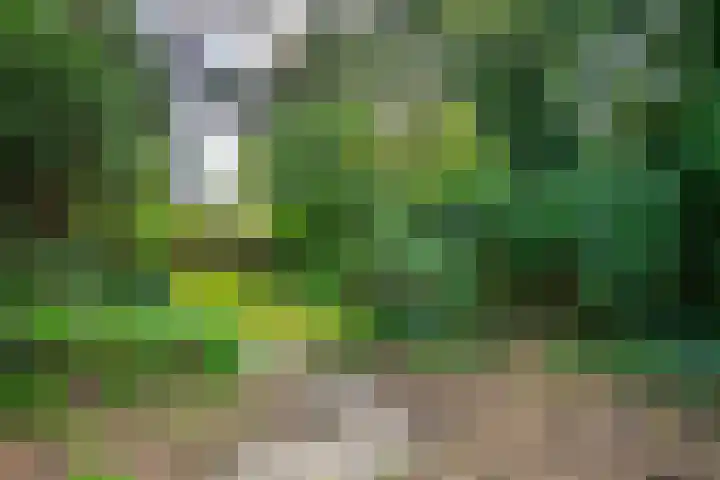 Grotestraat 20 Linne thumbnail 34