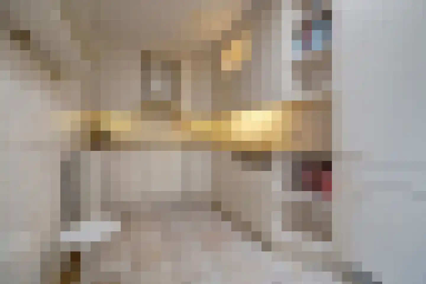 Grotestraat 202 b Waalwijk thumbnail 16