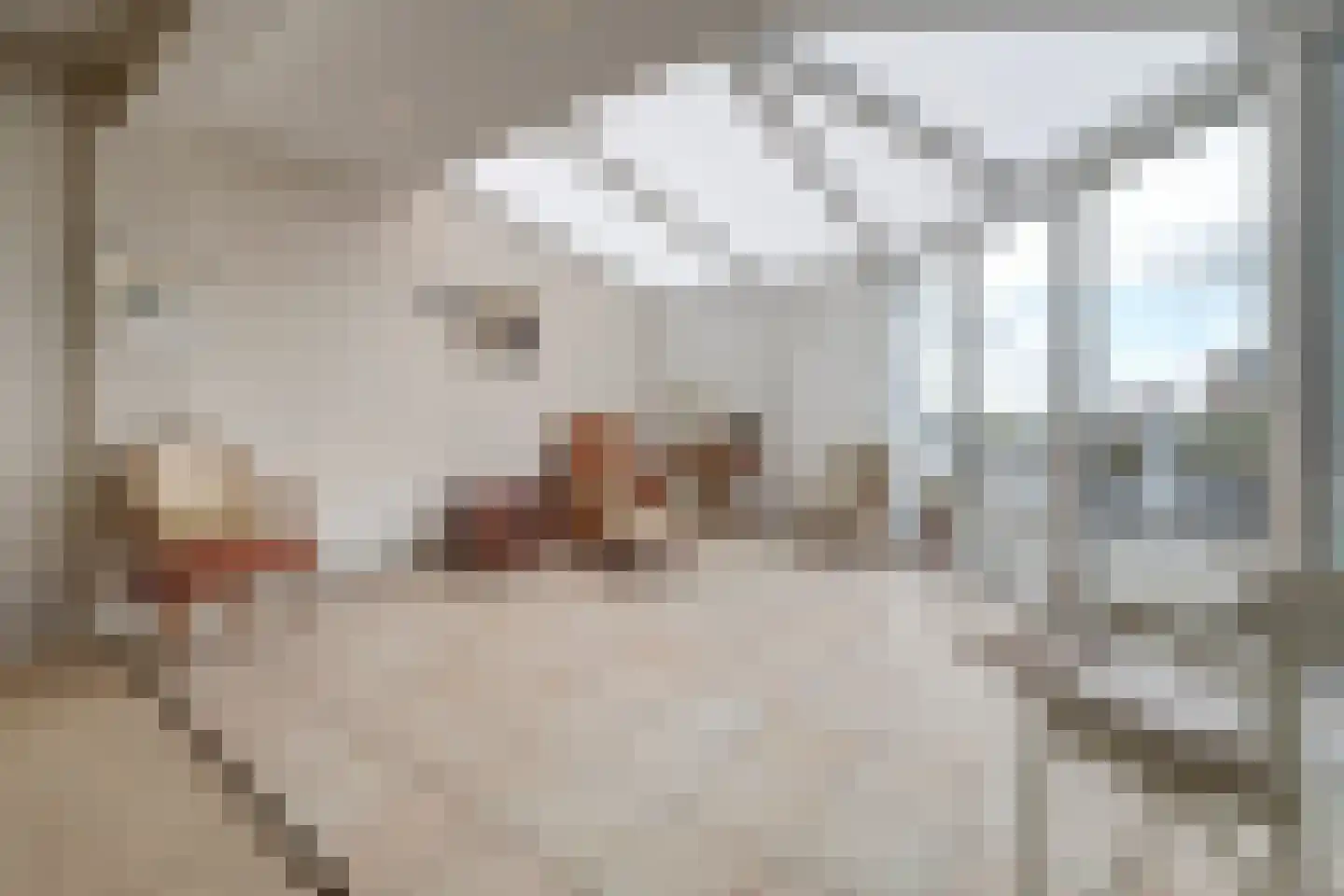 Grotestraat 202 b Waalwijk thumbnail 18