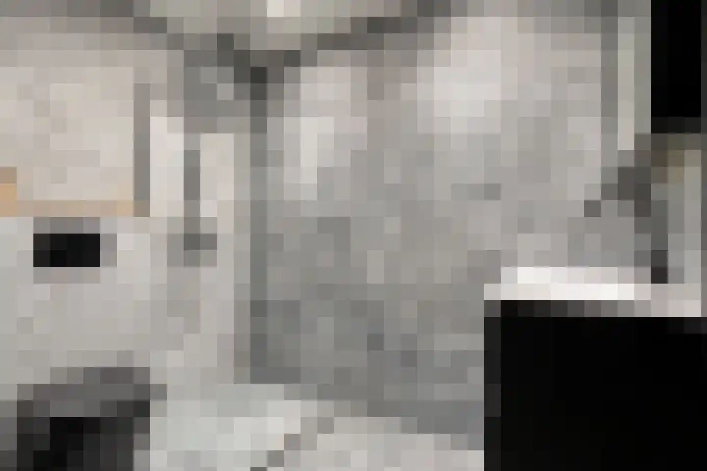 Grotestraat 21 c Raalte thumbnail 24
