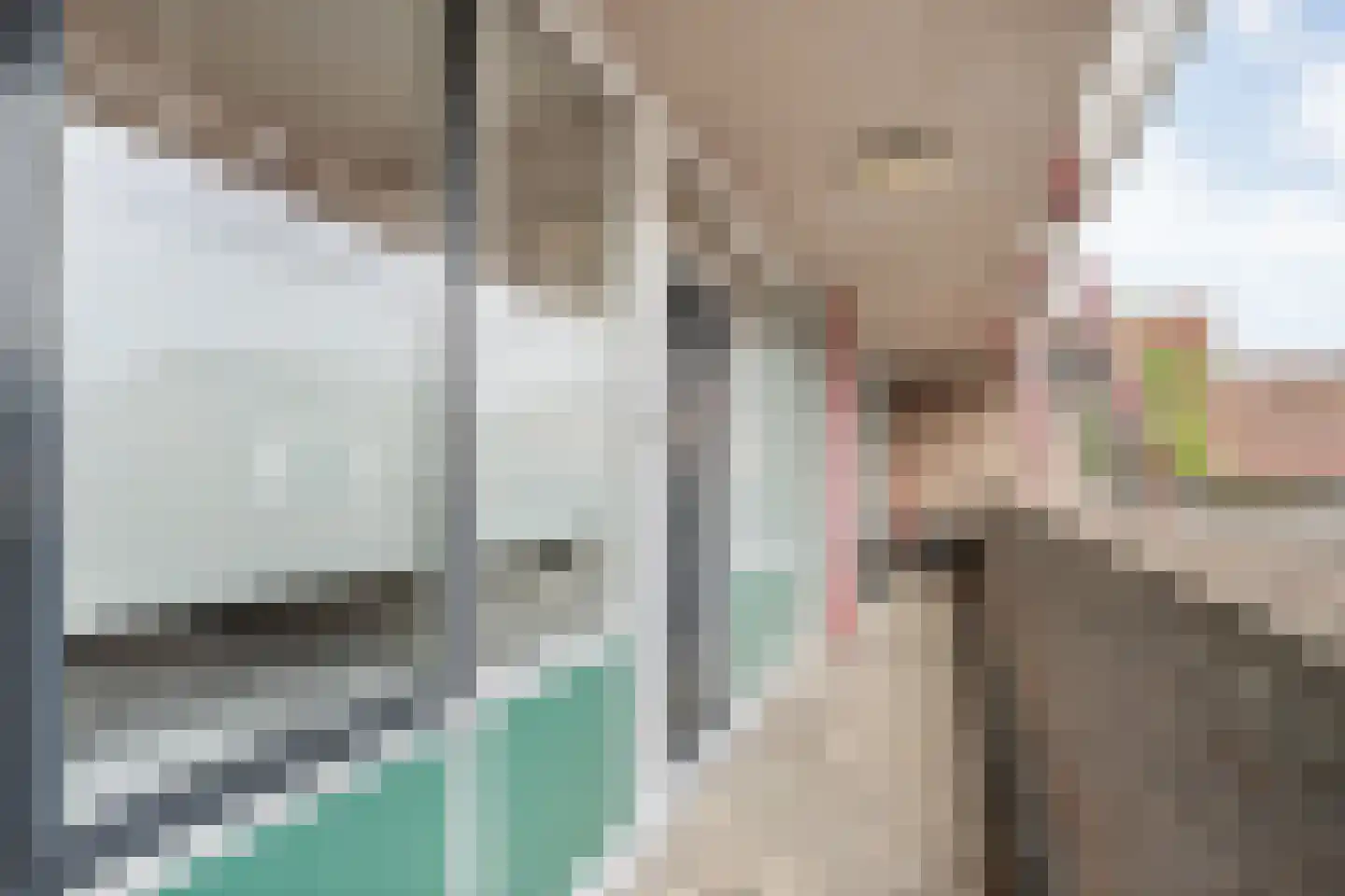 Grotestraat 21 c Raalte thumbnail 29