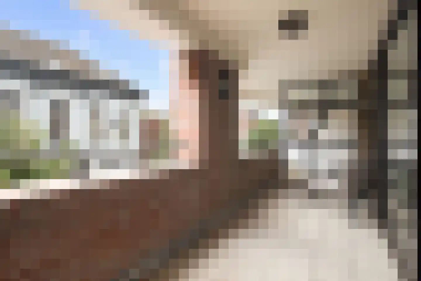 Grotestraat 213 a Waalwijk thumbnail 19