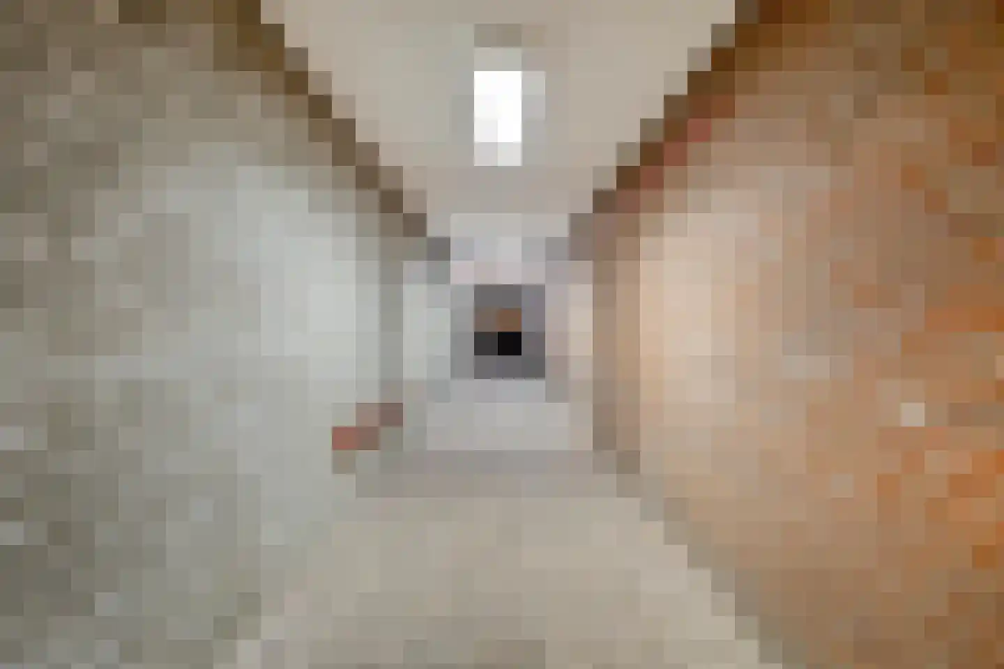 Grotestraat 229 Drunen thumbnail 31