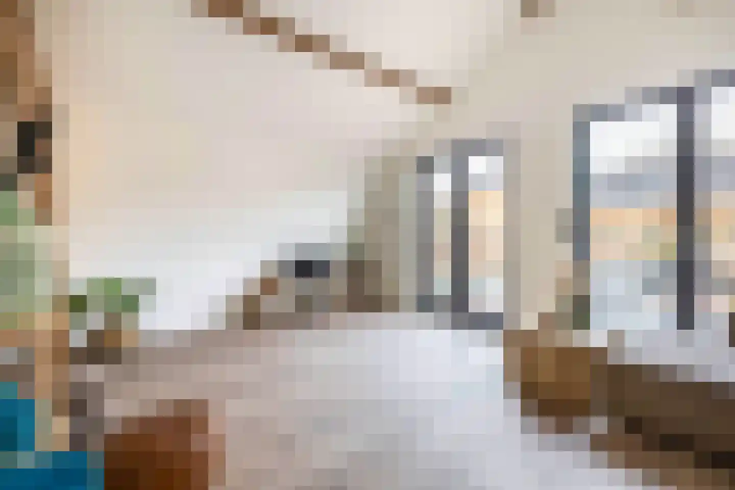 Grotestraat 235 c Waalwijk thumbnail 18