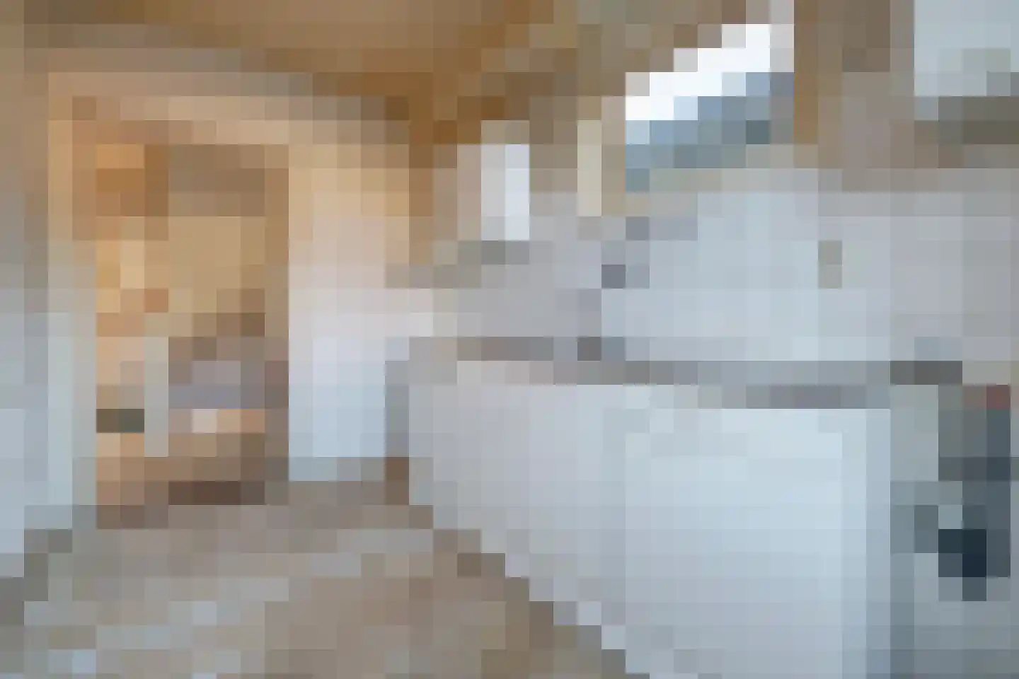 Grotestraat 237 Waalwijk thumbnail 12