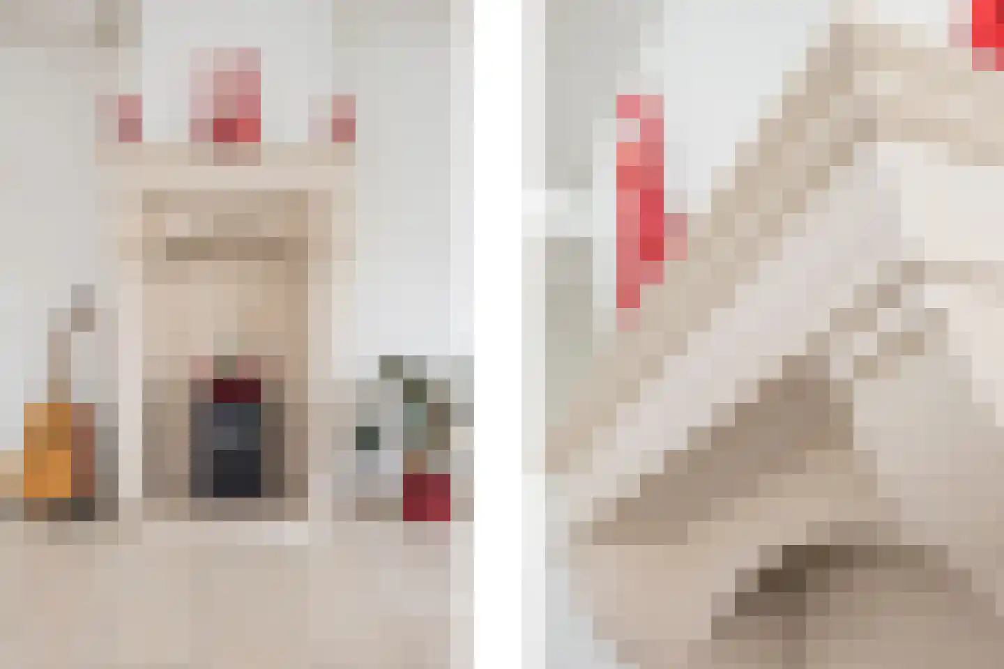 Grotestraat 243 a Borne thumbnail 14
