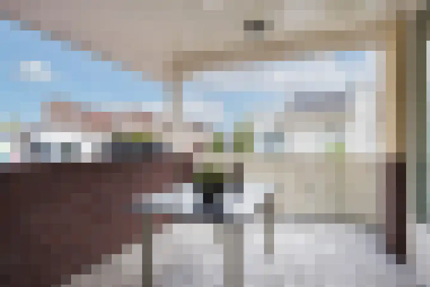 Grotestraat 243 a Borne thumbnail 17