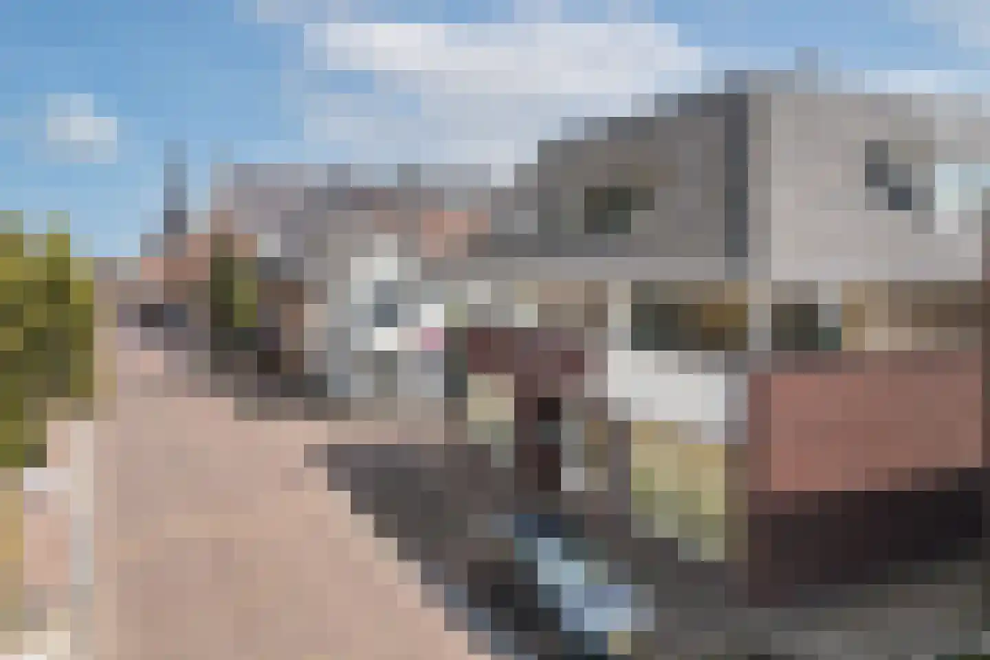 Grotestraat 243 a Borne thumbnail 4