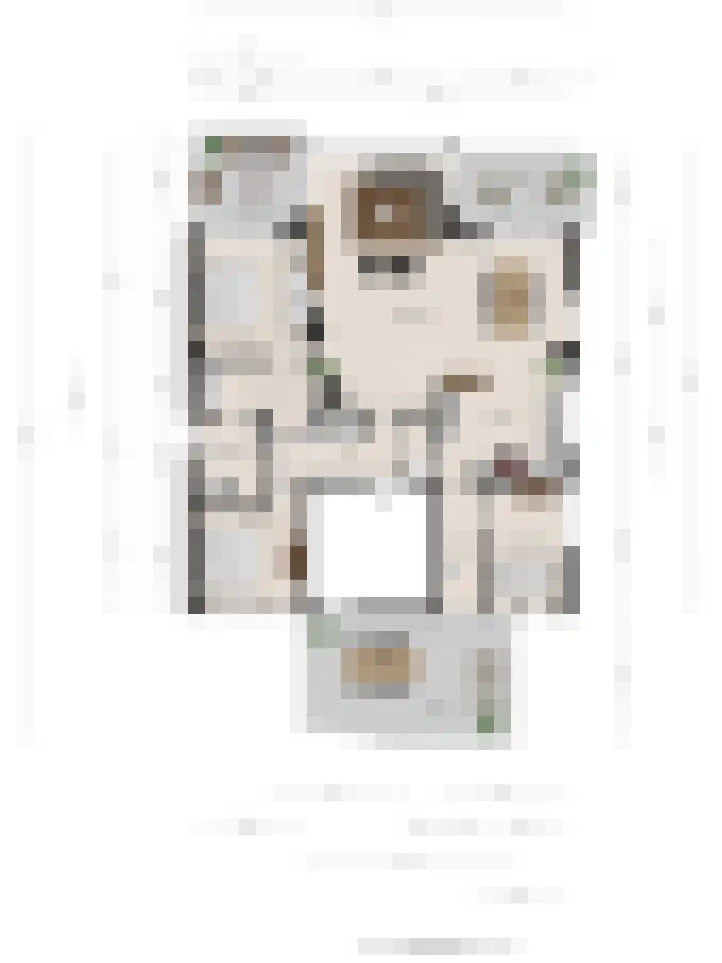 Grotestraat 243 a Borne thumbnail 40