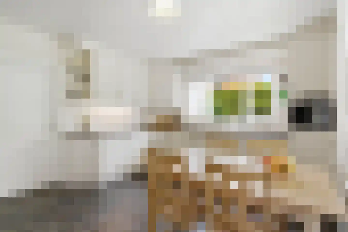 Grotestraat 25 a Vierlingsbeek thumbnail 11