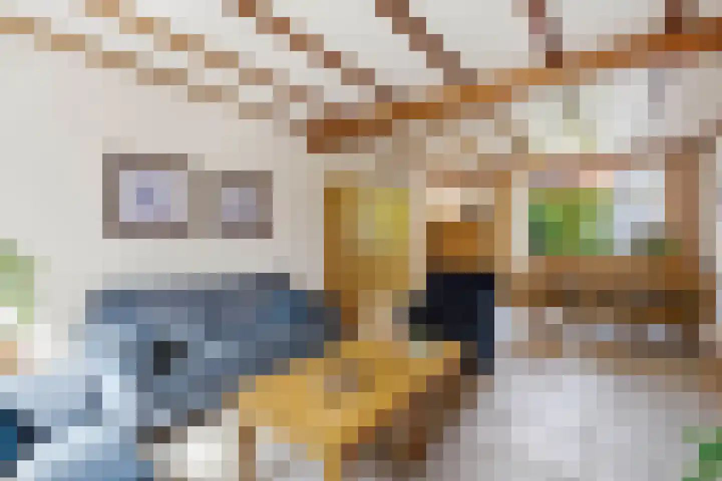 Grotestraat 25 a Vierlingsbeek thumbnail 5