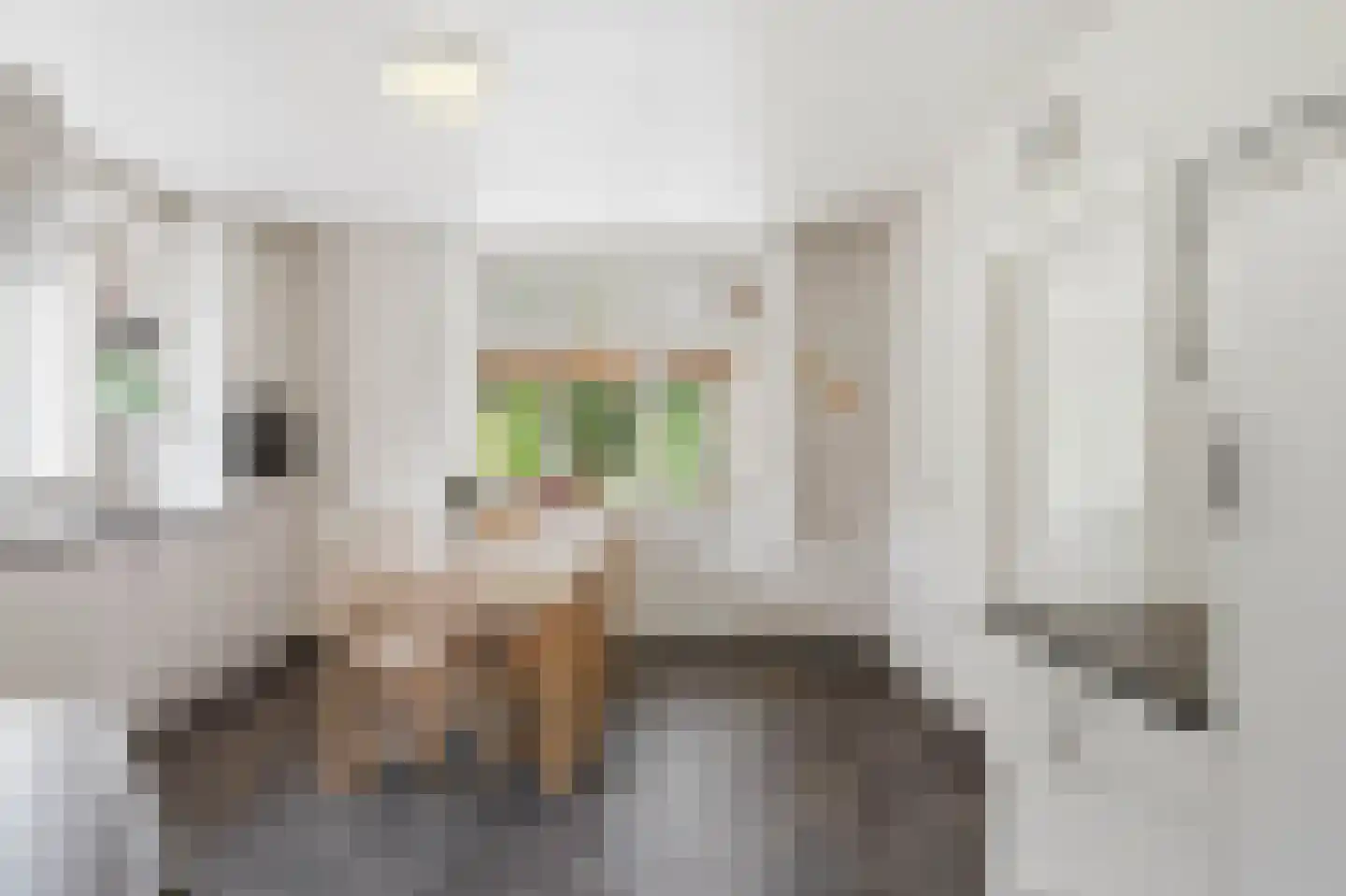 Grotestraat 25 a Vierlingsbeek thumbnail 8