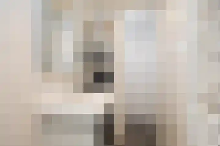 Grotestraat 25 Ootmarsum thumbnail 21