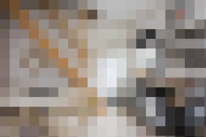 Grotestraat 25 Ootmarsum thumbnail 36