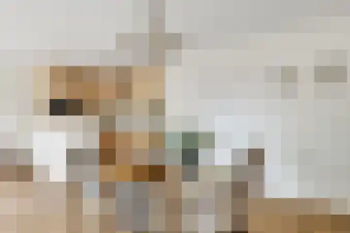 Grotestraat 276 Nijverdal thumbnail 8