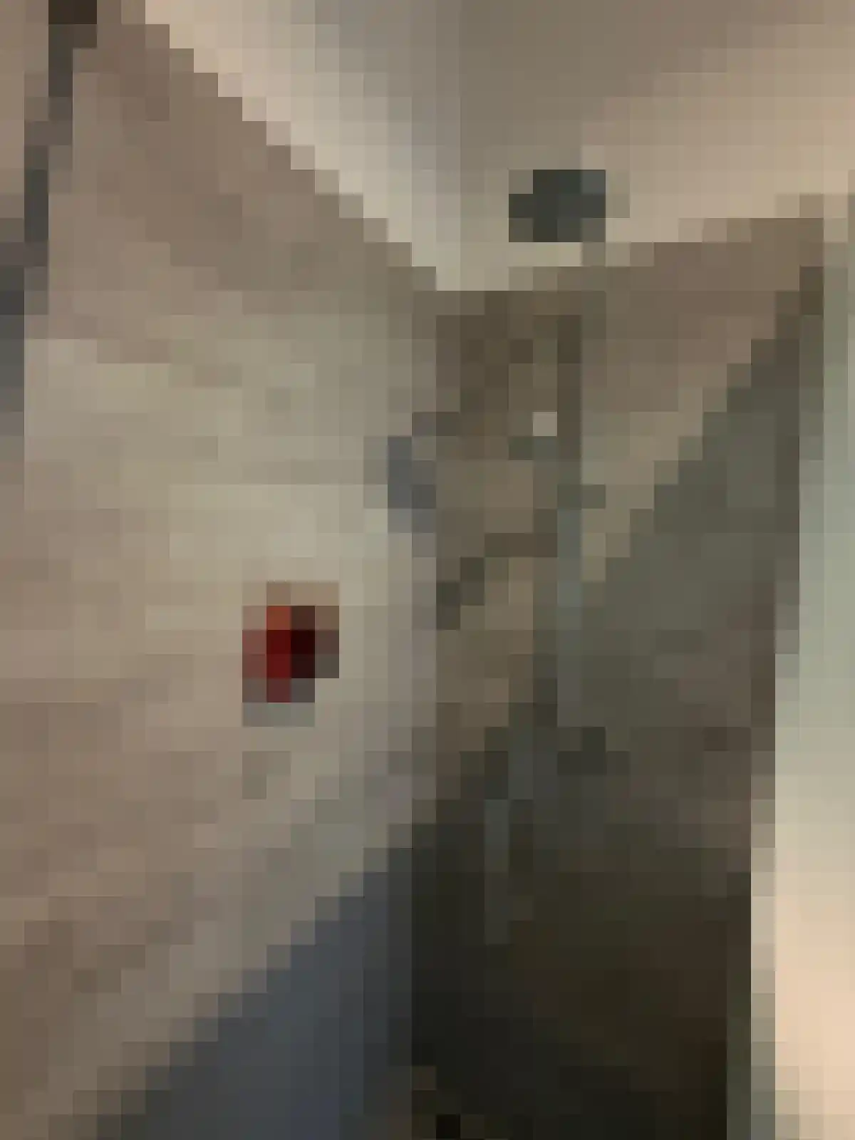Grotestraat 29 4 Cuijk thumbnail 5