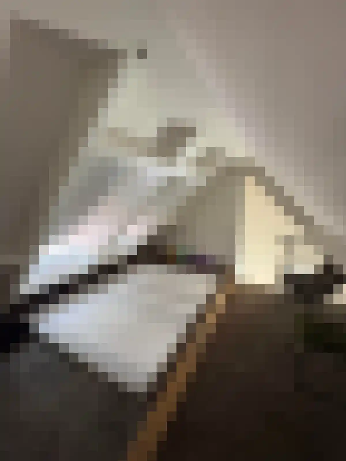 Grotestraat 29 7 Cuijk thumbnail 4