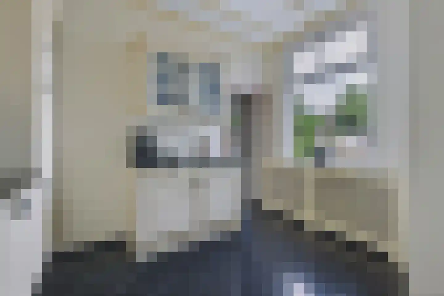 Grotestraat 30 Gendringen thumbnail 27
