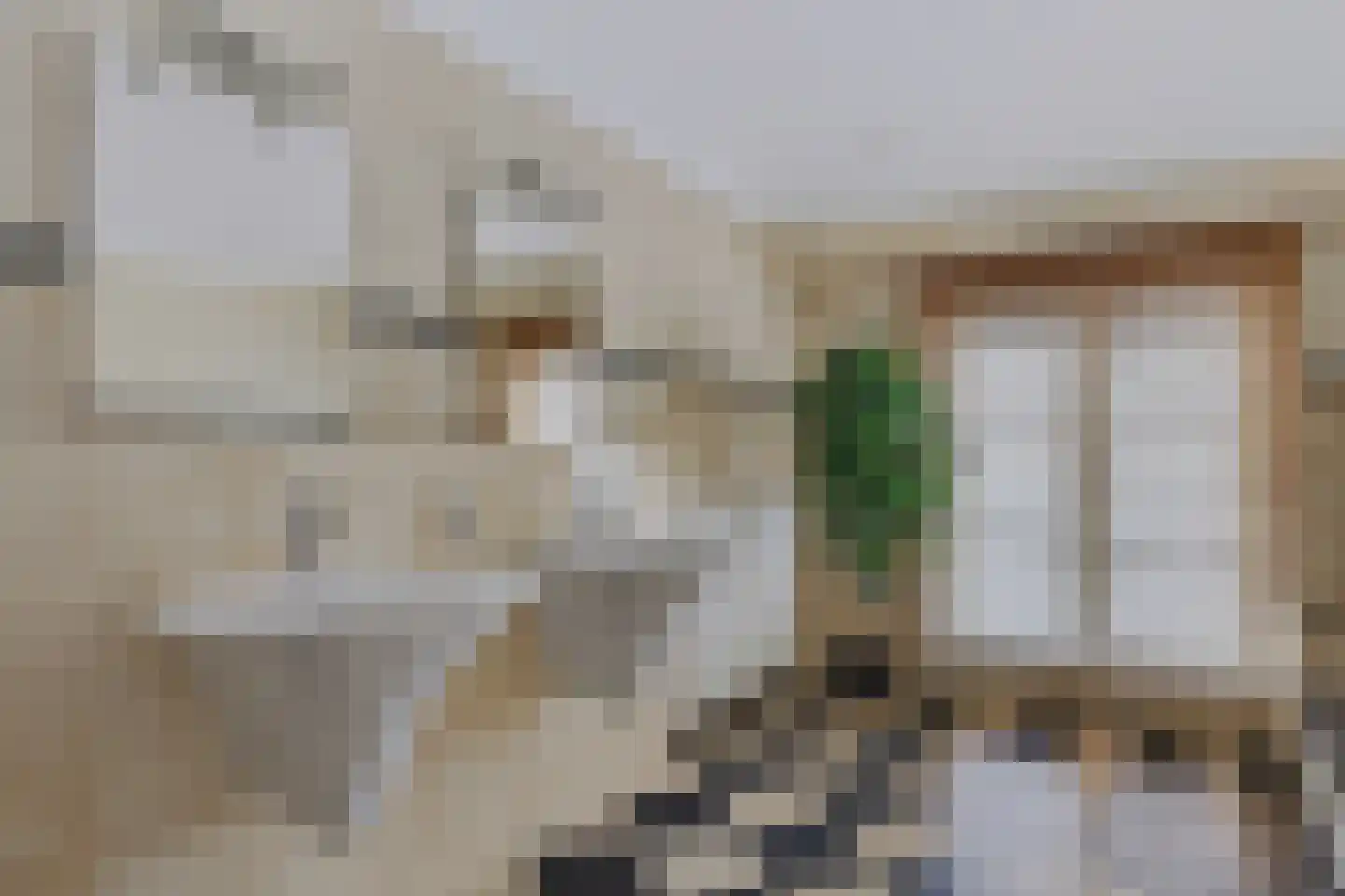 Grotestraat 30 Gendringen thumbnail 32