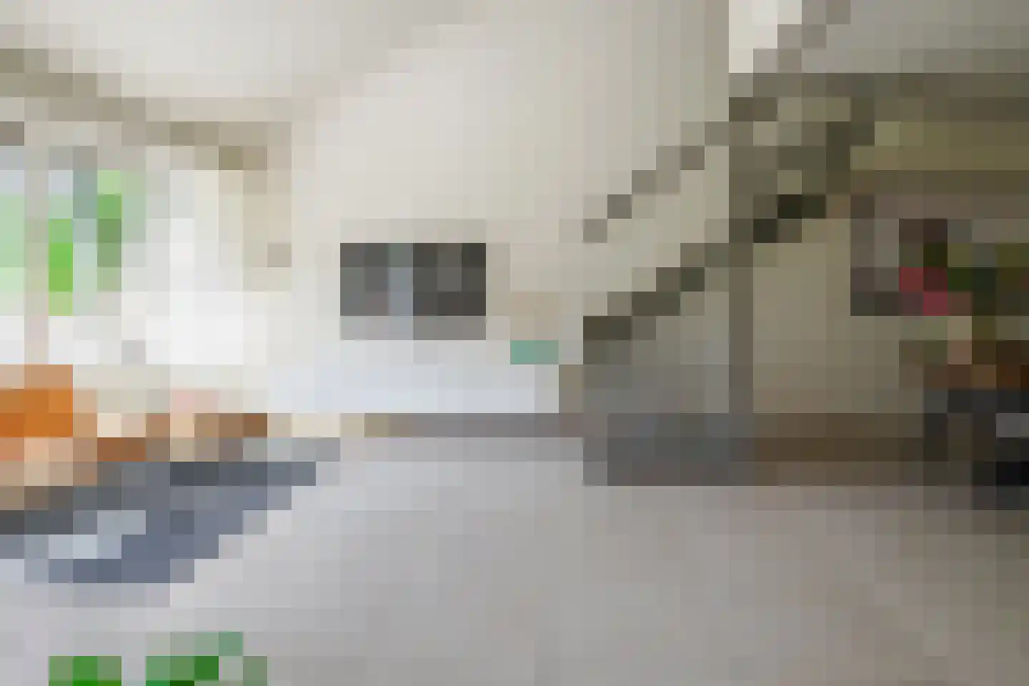 Grotestraat 31 Borne thumbnail 23